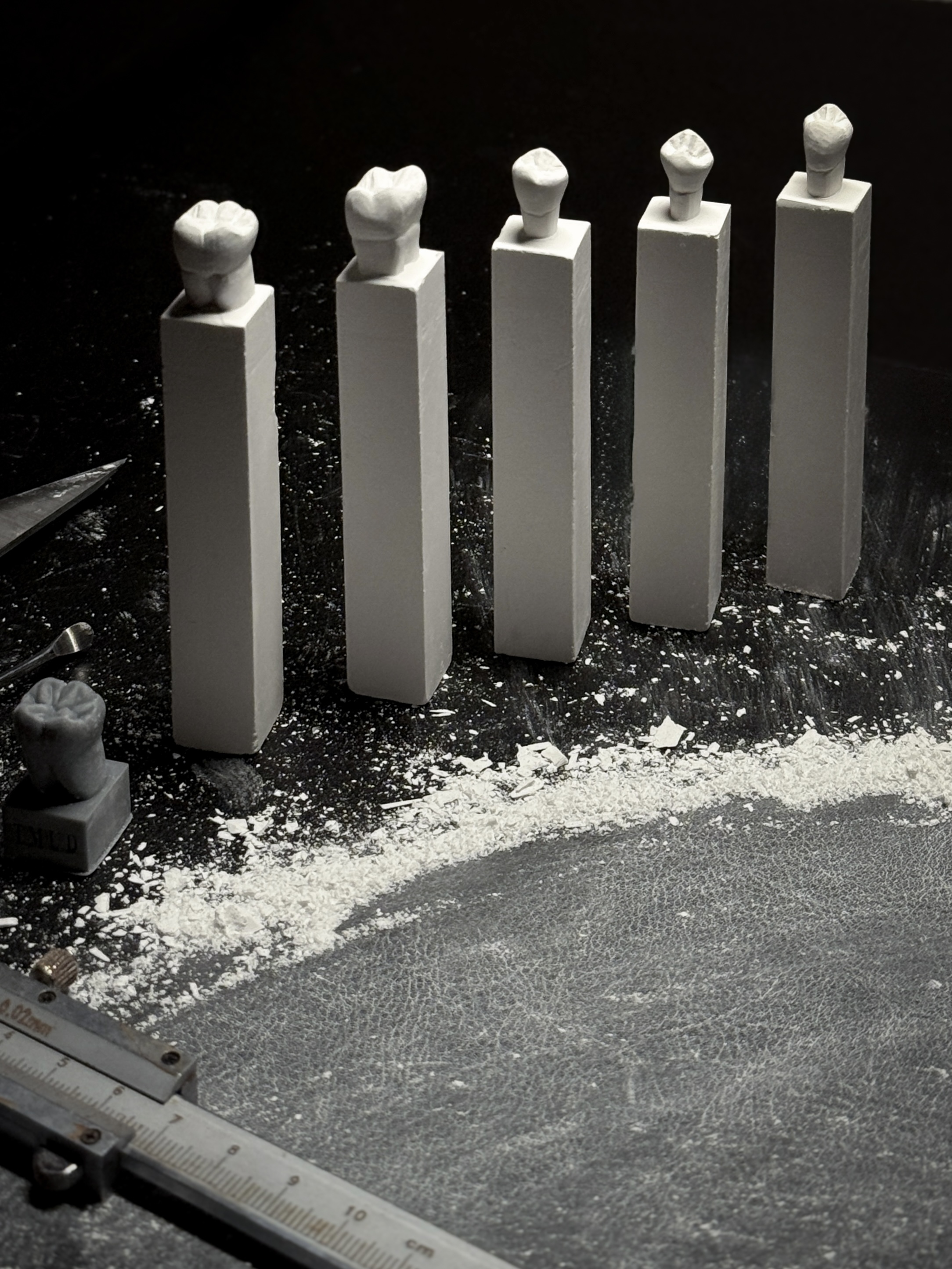 A row of hand-carved wax tooth models