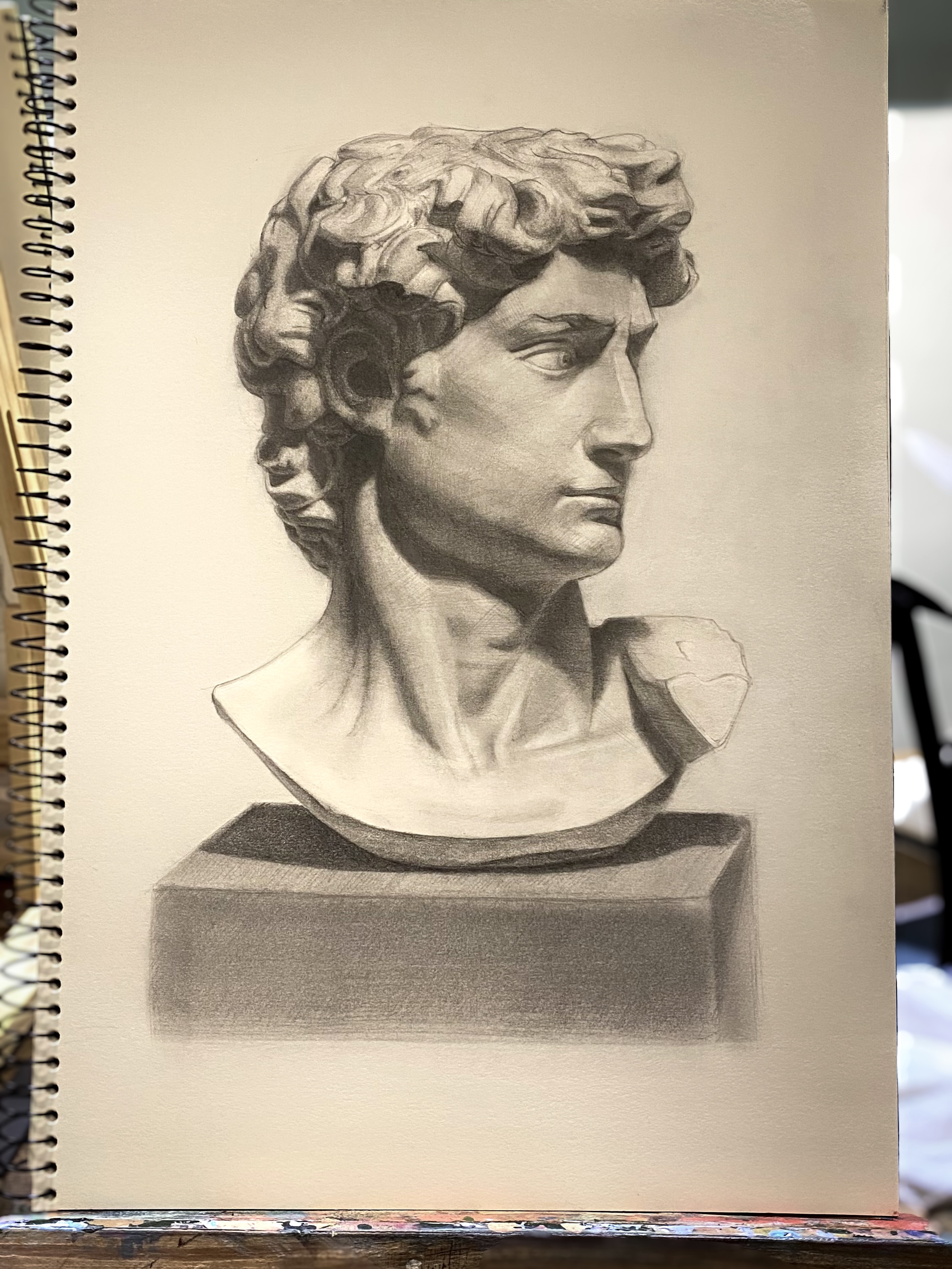 Charcoal study after Michelangelo's David