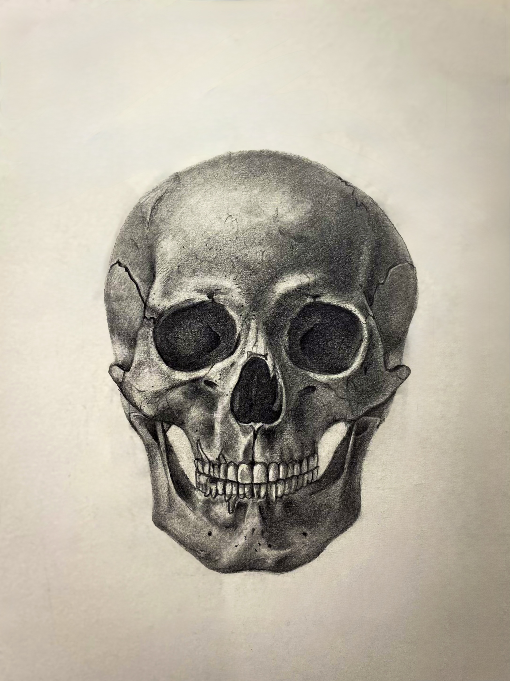 Graphite drawing of a skull